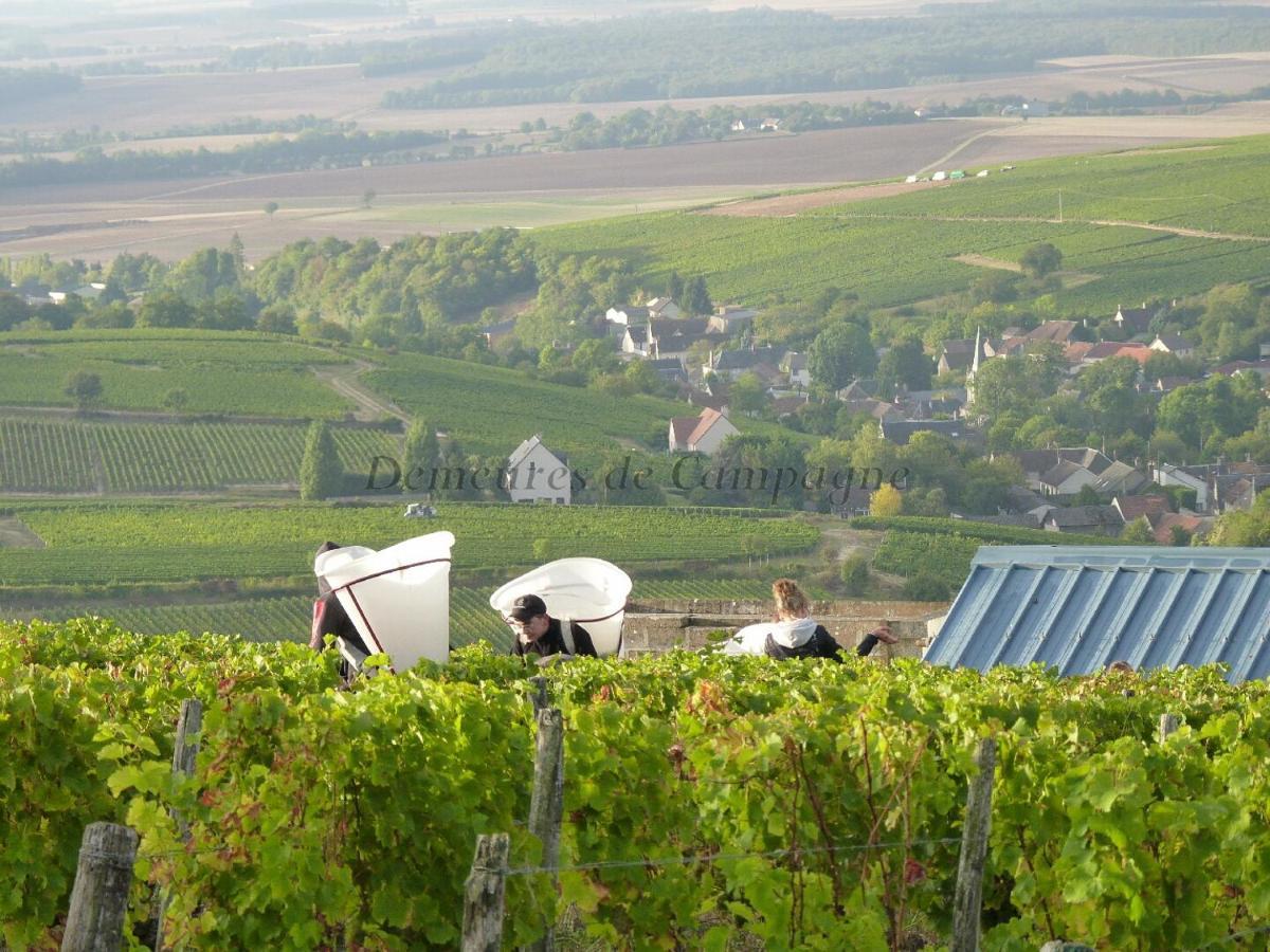 Maison Les Fossiles Sancerre Eksteriør bilde